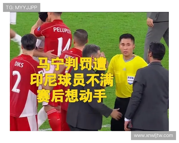 马宁自信争世界杯主裁执法权